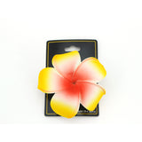 Maui Flower Hair Clips