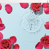 S.he Rose Water Facial Spray | Shop Amina Beauty